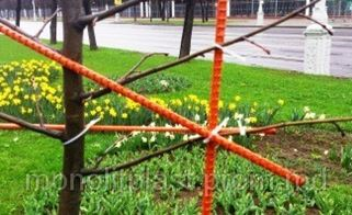 МинскЗеленСтрой применил композитную арматуру АСПЭТ для формирования кроны деревьев!